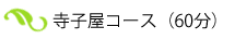 寺子屋コース（60分）